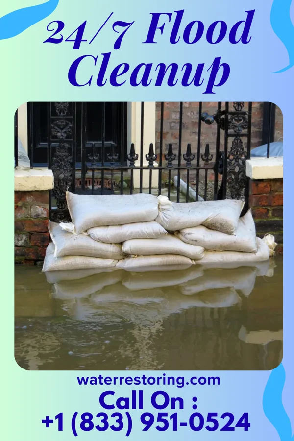 24/7 Flood Cleanup in Mesic, NC