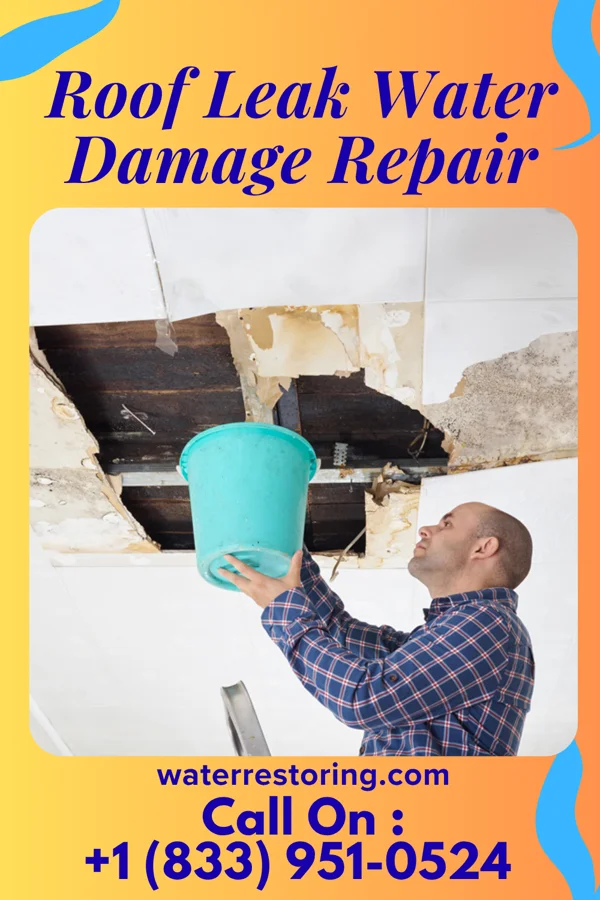 Roof Leak Water Damage Repair in Mesic, NC